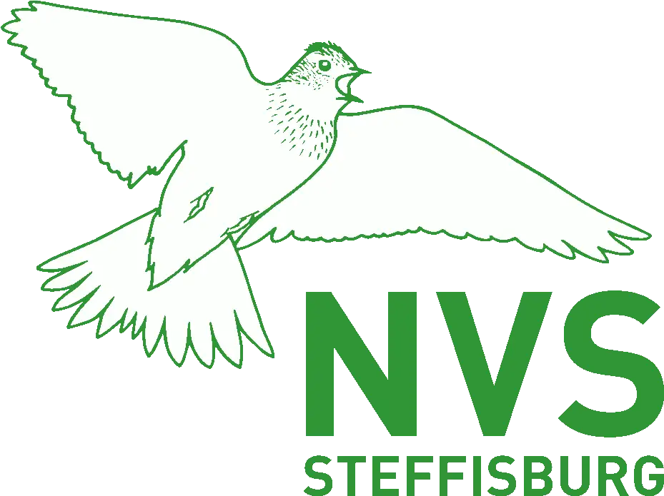 Logo NVSteffisburg
